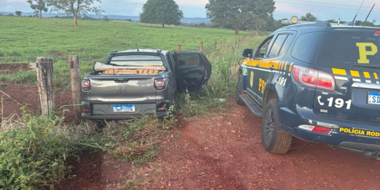 homem-e-preso-com-800-kg-de-maconha-apos-perseguicao-na-br-153,-em-itumbiara