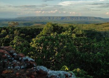 veja-regras-para-visitar-parques-de-goias-no-feriado
