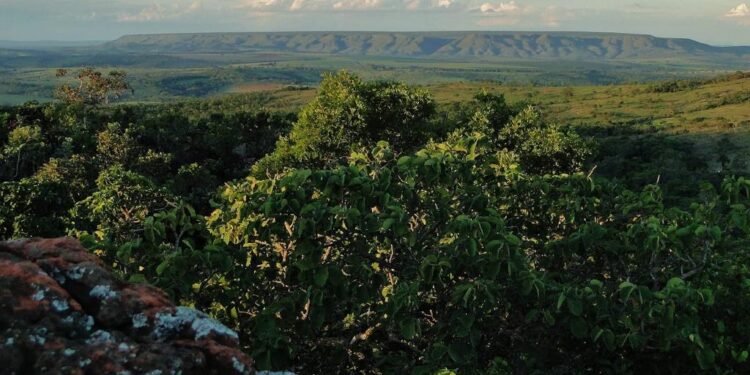 veja-regras-para-visitar-parques-de-goias-no-feriado