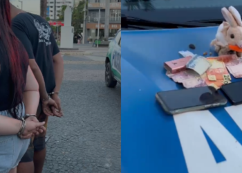casal-e-preso-por-esconder-drogas-em-coelho-de-pelucia