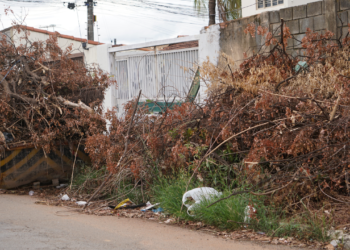 descarte-irregular-de-lixo-toma-conta-de-ruas-em-goiania