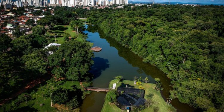 goiania-esta-entre-as-tres-capitais-mais-arborizadas-do-brasil