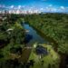 goiania-esta-entre-as-tres-capitais-mais-arborizadas-do-brasil