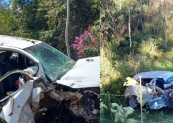 motorista-embriagado-causou-acidente-que-matou-irmaos-de-6-e-16-anos-na-br-414,-em-anapolis