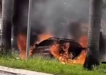 carro-pega-fogo-e-e-destruido-por-chamas-na-avenida-leste-oeste,-em-goiania