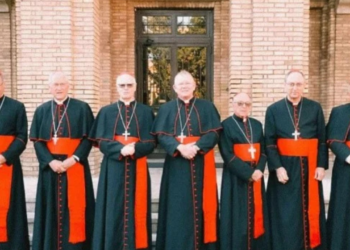 cardeais-brasileiros-chegam-a-roma-para-eleger-novo-papa