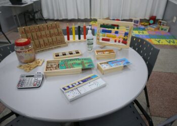 justica-determina-goiania-a-disponibilizar-professor-de-apoio-a-aluno-com-autismo