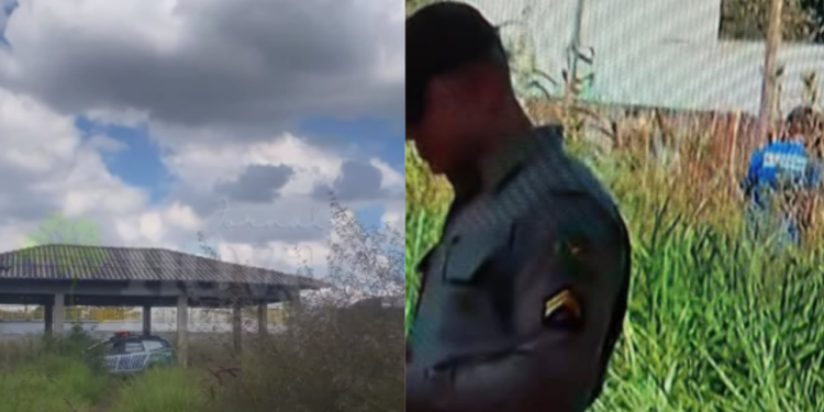 homem-em-situacao-de-rua-e-encontrado-carbonizado-na-vila-mutirao,-em-goiania