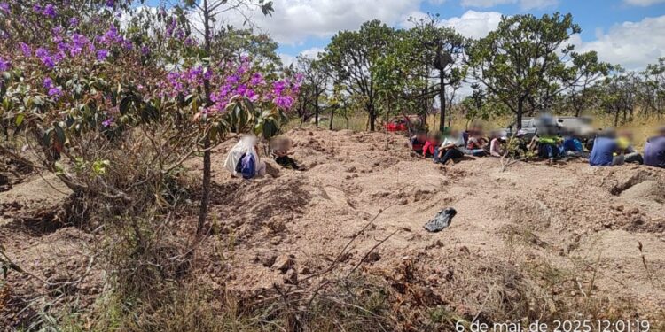policia-desmantela-garimpo-ilegal-em-cristalina-e-prende-mais-de-40-pessoas