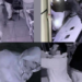 trio-invade-loja-em-pirenopolis,-rouba-r$-60-mil-em-joias-e-depreda-o-local