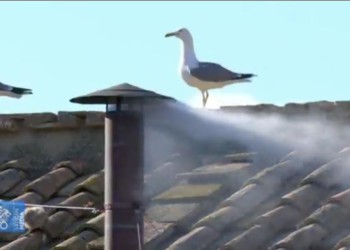 fumaca-branca:-novo-papa-e-escolhido-no-2o-dia-de-conclave