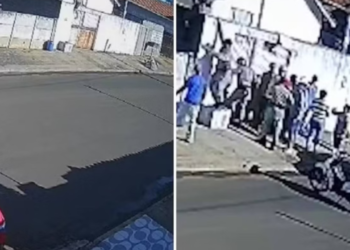 avo-e-gravemente-ferida-ao-salvar-neta-de-ataque-de-pit-bull-em-caiaponia-(go)