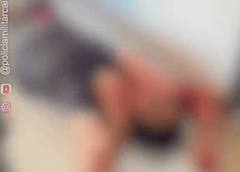 pitbull-da-familia-ataca-avo-e-neta-de-1-ano-no-interior-de-goias