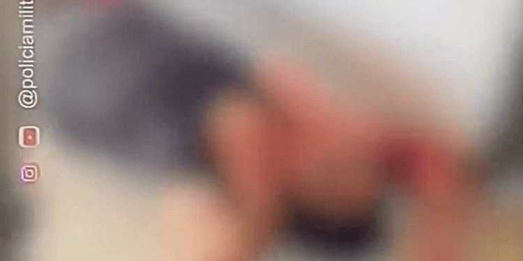 pitbull-da-familia-ataca-avo-e-neta-de-1-ano-no-interior-de-goias