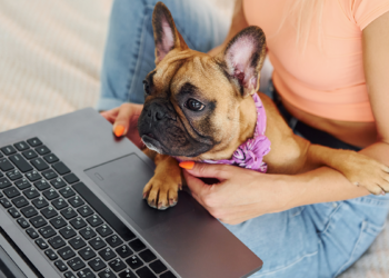 com-mais-de-5-mil-empresas-ativas,-setor-pet-cresceu-94%-em-goias