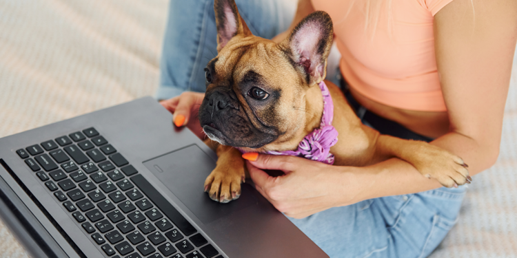 com-mais-de-5-mil-empresas-ativas,-setor-pet-cresceu-94%-em-goias