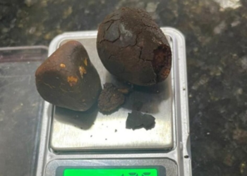 funcionarios-de-frigorifico-sao-presos-por-furtar-pedras-biliares-bovinas-em-goias