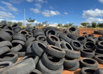 descartes-irregulares-de-pneus-geram-multa-e-apreensao-na-capital