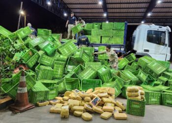 prf-apreende-105-quilos-de-supermaconha-escondidos-em-caminhao-na-br-364,-em-jatai