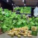 prf-apreende-105-quilos-de-supermaconha-escondidos-em-caminhao-na-br-364,-em-jatai