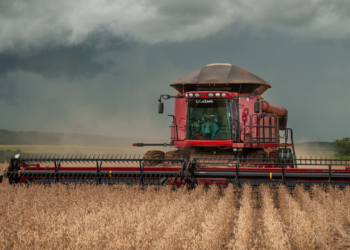 com-96%-do-territorio-sob-seca,-goias-e-o-5o-estado-mais-afetado-do-brasil