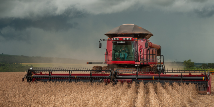 com-96%-do-territorio-sob-seca,-goias-e-o-5o-estado-mais-afetado-do-brasil