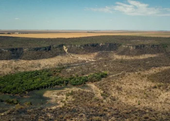 atlas-revela-42%-mais-vegetacao-nativa-em-goias-do-que-se-estimava