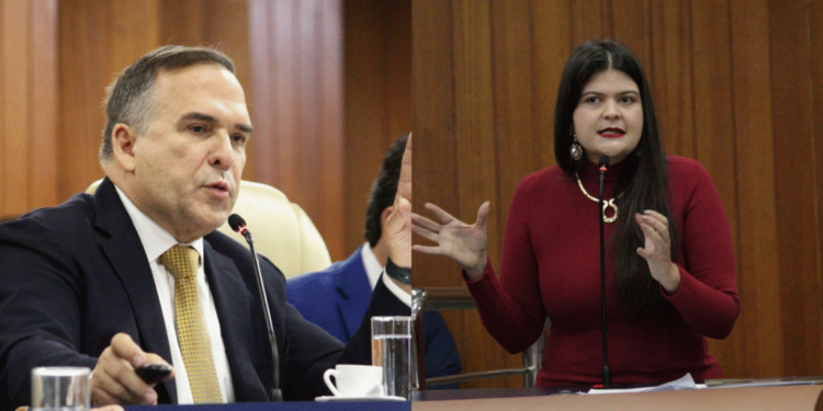 aava-encurrala-mabel-sobre-auditoria-nas-maternidades