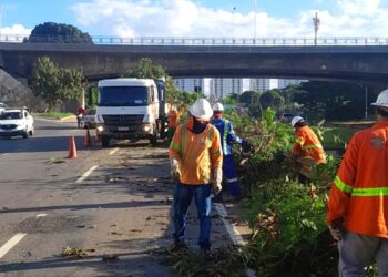 retirada-de-arvores-na-marginal-botafogo-revolta-moradores