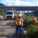 retirada-de-arvores-na-marginal-botafogo-revolta-moradores