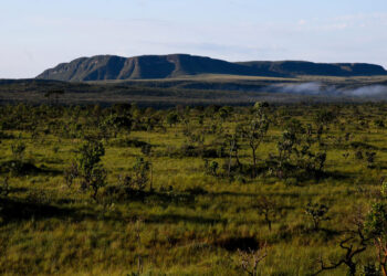 desmatamento-ameaca-territorio-kalunga-em-meio-a-queda-nos-indices-gerais-de-goias