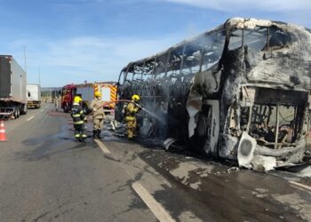 incendio-destroi-onibus-na-br-153,-em-goiania