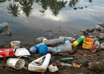 onu:-dia-mundial-do-ambiente-e-marcado-por-mobilizacao-contra-o-plastico