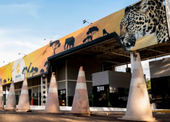 gripe-aviaria-fecha-zoologico-de-brasilia-ate-12-de-junho