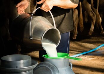 mesmo-com-seca-intensa,-setor-surpreende-e-preco-do-leite-cai-4,66%