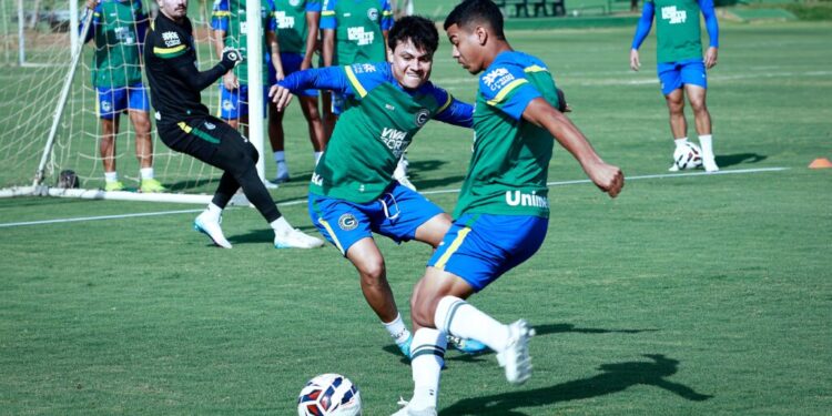 goias-comercializa-cerca-de-6-mil-ingressos-para-partido-contra-o-volta-redonda
