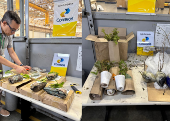 agrodefesa-apreende-sementes-e-mudas-ilegais-enviadas-pelos-correios-em-goiania