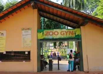 cisne-negro-morto-em-goiania-nao-tinha-gripe-aviaria,-confirma-laudo-oficial