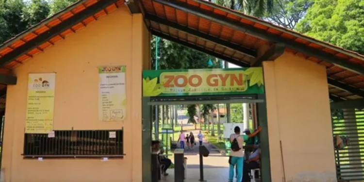 cisne-negro-morto-em-goiania-nao-tinha-gripe-aviaria,-confirma-laudo-oficial