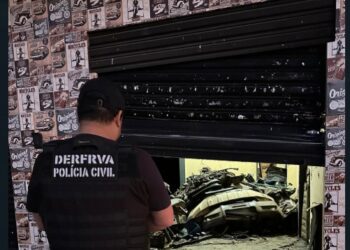 policia-desmonta-esquema-de-venda-ilegal-de-pecas-de-veiculos-roubados-em-goias