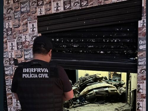 policia-desmonta-esquema-de-venda-ilegal-de-pecas-de-veiculos-roubados-em-goias