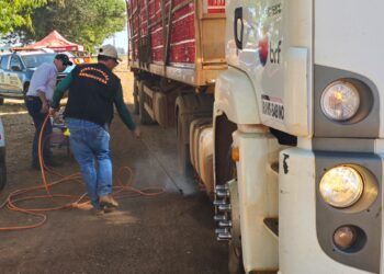 goias-adota-acoes-emergenciais-para-conter-gripe-aviaria-em-santo-antonio-da-barra