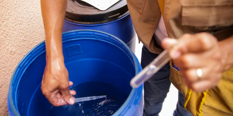 casos-de-dengue-caem-46%-na-capital-no-1o-semestre,-mas-estado-segue-em-alerta-com-alta-de-mortes