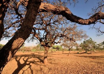 seca-prolongada-gera-preocupacao-com-impactos-na-saude-e-abastecimento