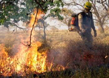 goias-enfrenta-aumento-recorde-de-focos-de-incendio-e-amplia-combate-com-operacao-estadual