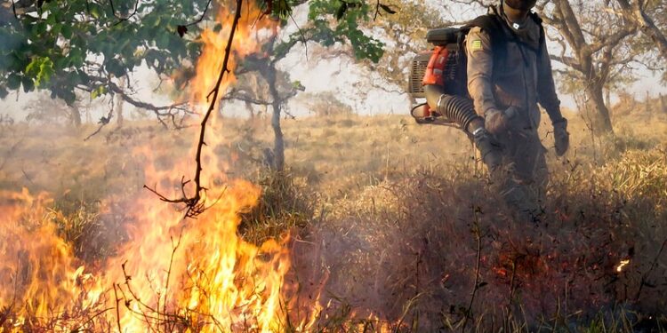 goias-enfrenta-aumento-recorde-de-focos-de-incendio-e-amplia-combate-com-operacao-estadual