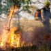goias-enfrenta-aumento-recorde-de-focos-de-incendio-e-amplia-combate-com-operacao-estadual