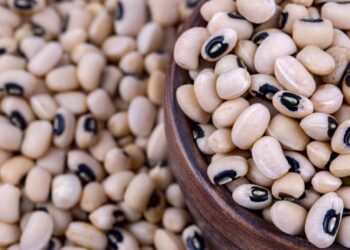 goias-colhe-349-mil-toneladas-e-mira-exportacao-de-feijao-biofortificado-para-a-india