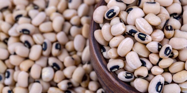 goias-colhe-349-mil-toneladas-e-mira-exportacao-de-feijao-biofortificado-para-a-india