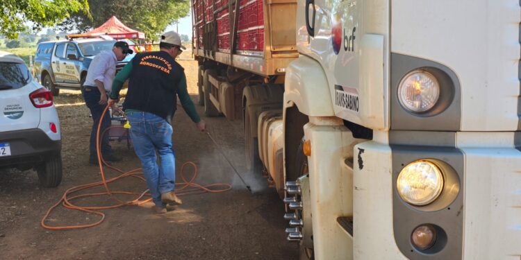 apos-confirmacao-de-gripe-aviaria-em-goias,-governo-adota-medidas-para-conter-doenca